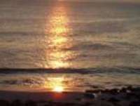 sunset over the sea